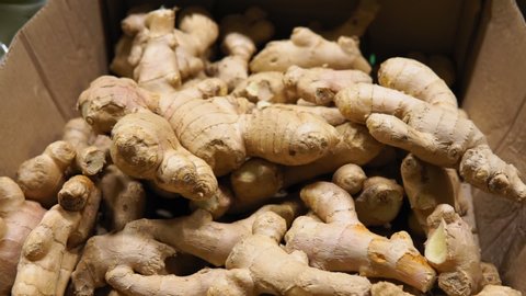 ginger root close-up. sale of spices and vegetables