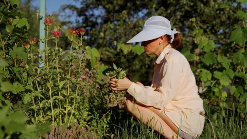 A woman with a hat picks oregano in her own garden. The girl sniffs oregano.