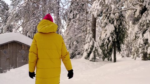 Back view of young woman tourist in yellow warm jacket walking in breathtaking snowy coniferous trees forest enjoying winter holidays, female traveler discover Riisitunturi National Park in Lapland