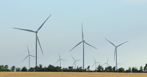 Windmills rotating in a field end generating powerful electricity