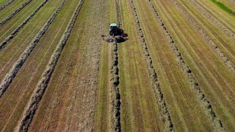 tractor collects hay on the field. Rural work on the preparation of feed for livestock. Packed bales of hay. Life outside the city. Video filming from the air. Milan Italy 10.09.2020