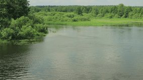 Video summer landscape, river in the forest with green banks