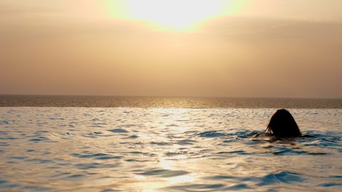 back view, silhouette of woman swims in outdoor infinity pool with panoramic sea view, at sunrise. travel and vacation concept