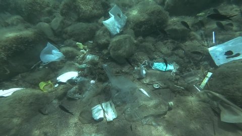Dead Greater weever fish (Trachinus draco) hitting trapped in plastic bag lies inside plastic bag on the seabed among the medical face mask, plastic and other garbage. Plastic pollution of Ocean.