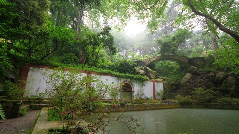 Water tank surround with old trees and lush vegetation, stone bridge seen behind. Camera turn right, showing details of Friars tank in Pena park. High humidity in the air, no people around