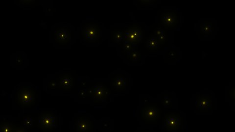 Concept 2-L1 View of flying fireflies glowing at Night with flying motion (flight behaviour) and glow animation.