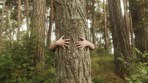 Arms Hugging a Tree In a Forest, showing Love and Care for Nature and Environment of Earth.
