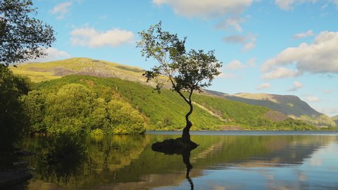 Lake Reflection with Summer Vibrant Colors at Llyn Padarn - Snowdonia National Park - Panning Reveal
