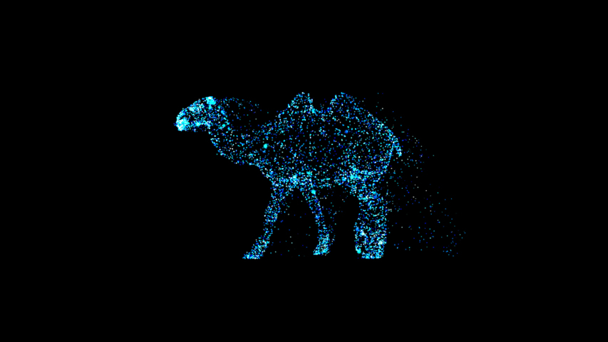 Abstract blue camel walking on a black background. Poly wireframe illustration. Wild animals concept. Polygonal vector art with lines and dots. Particle line alpha motion. Royalty-Free Stock Footage #1057541794
