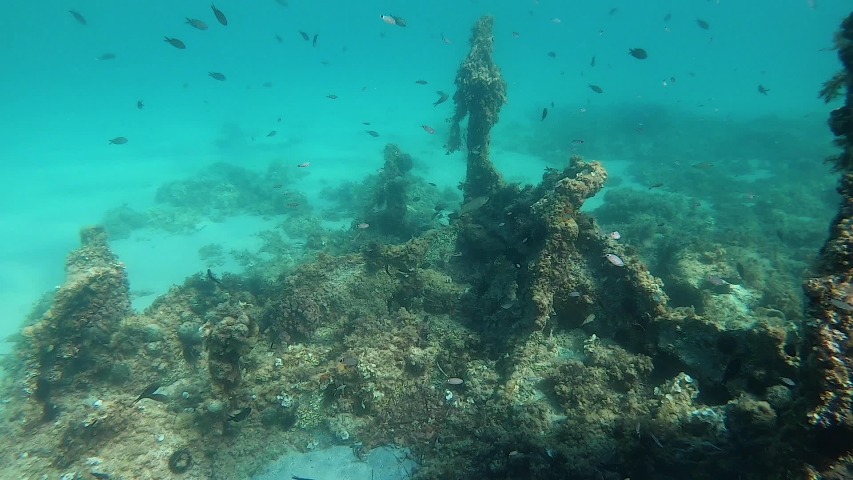 first world war wreck paris underwater French wreck Mediterranean sea ...