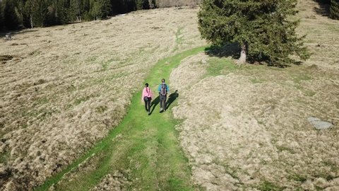 A top down drone capture of couple walking along the pathway in Austrian Alps. The path is green and the meadow around them is golden. Early spring in the mountains. Exploring the nature. Thick forest