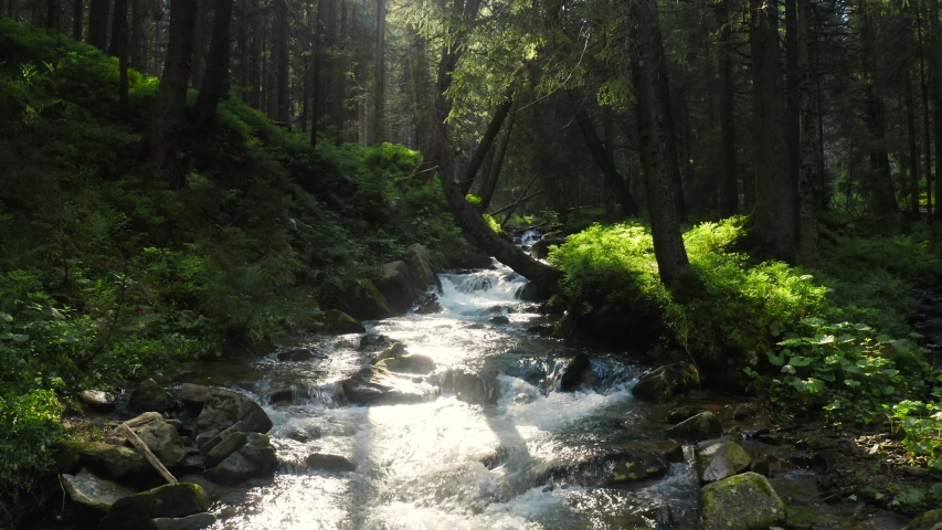 River mountain park wild water story green stone sun | Shutterstock HD Video #1057555969