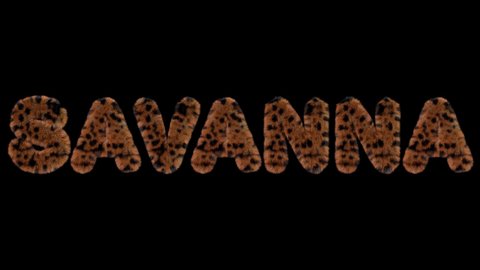3d animated text spelling Savanna, made of fury  leopard letters
