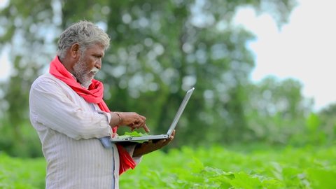 Indian farmer using a laptop at agriculture field