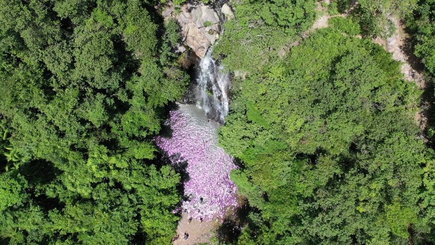 Hong Kong nature waterfalls drone