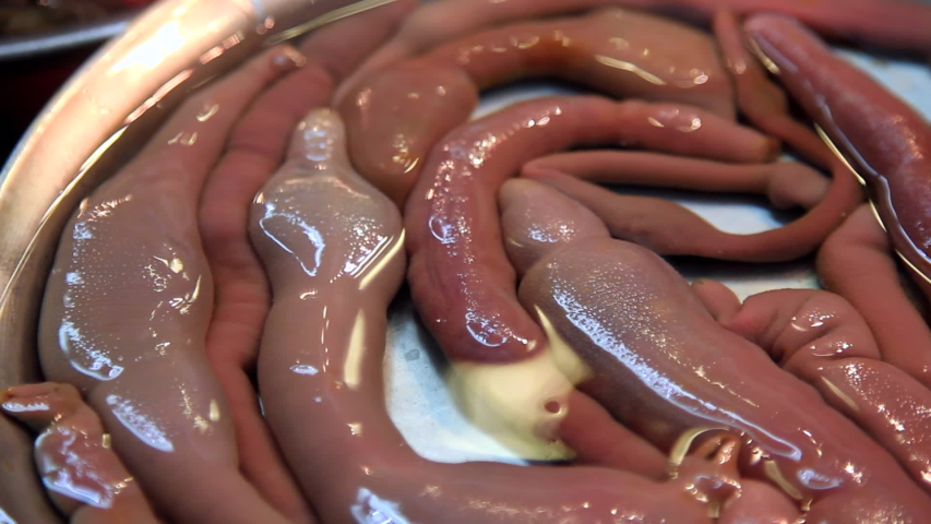 Korean food gaebul - spoon worm