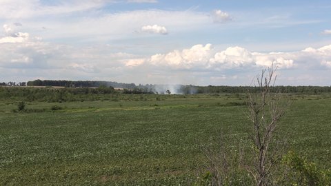Durham, Ontario, Canada August 2020 Smoke rising from forest as fire starts in hot summer weather