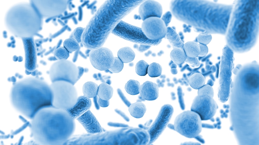 Animation floating through blue microbes, healthy microbiome | Shutterstock HD Video #1057570981