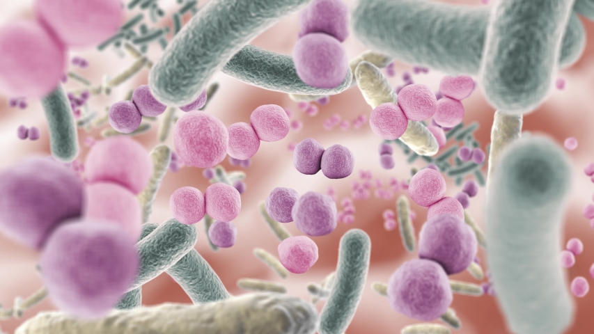 Animation floating through good microbes in the intestine, healthy microbiome | Shutterstock HD Video #1057570984