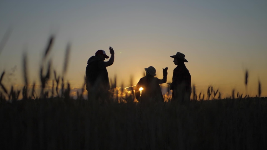 Silhouette family farmers working in a wheat field at sunset. Young parents with their daughter in a wheat field. The concept of organic farming and family business. Royalty-Free Stock Footage #1057580797