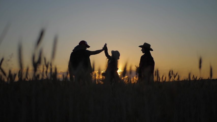 Silhouette family farmers working in a wheat field at sunset. Young parents with their daughter in a wheat field. The concept of organic farming and family business. Royalty-Free Stock Footage #1057580797