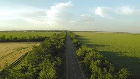 Rising above road at sunset. Drone moving forward