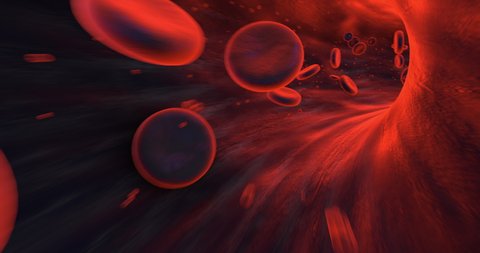 Red Blood Cells Flowing Inside Humen Vein. Perfect Loop. Science And Health Related High Quality 3D Animation.