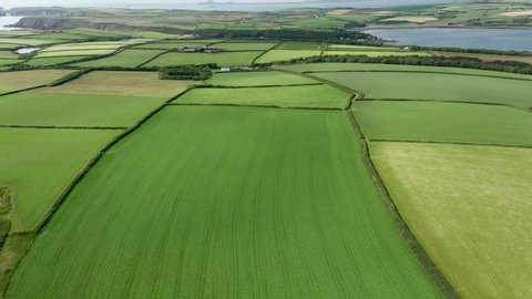 Aerial view of green farmland next to the ocean (Milford Haven, Wales)