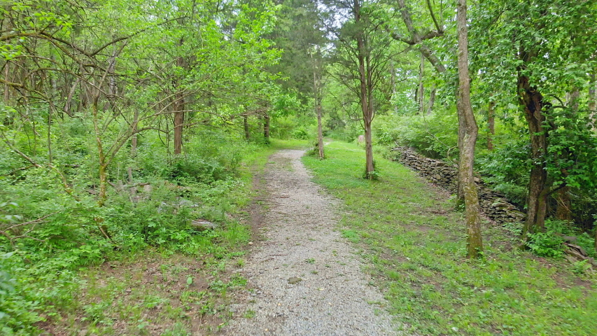 Walking on a trail in Leslie Morris Park at Fort Hill in Frankfort, Kentucky