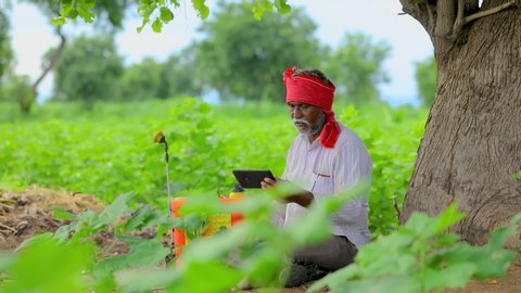 Indian farmer using mobile phone at Agriculture field