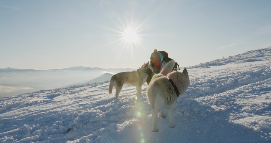 woman in blue jacket playing with two siberian husky dogs outdoors in snowy mountains. Hiker with dogs against beautiful winter mountain background. Active lifestyle and travel remote places concept Royalty-Free Stock Footage #1057611907