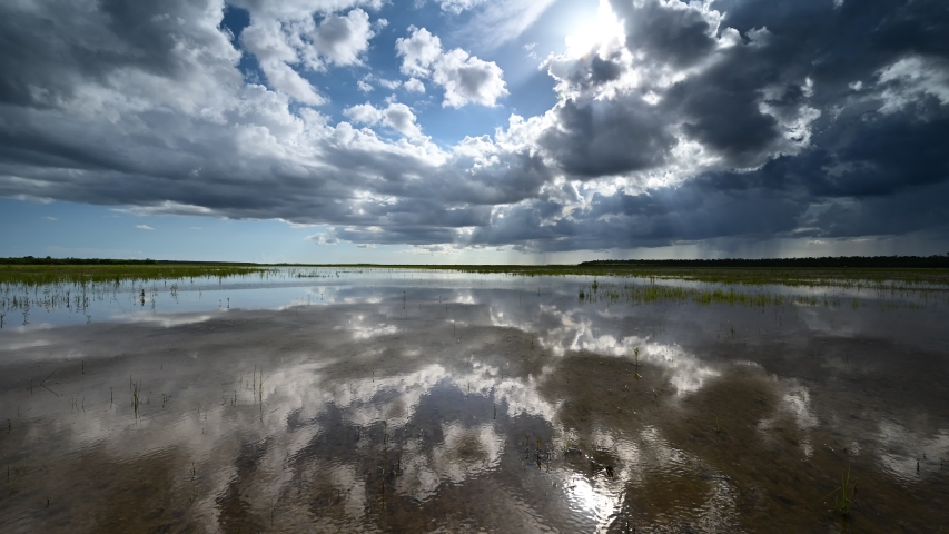 Timelapse of summer clouds forming over Hole-In-The-Donut habitat restoration project in Everglades National Park, Florida 4K. Royalty-Free Stock Footage #1057611970