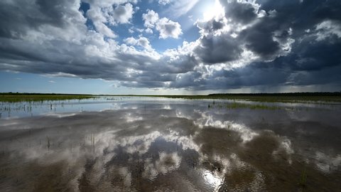 Timelapse of summer clouds forming over Hole-In-The-Donut habitat restoration project in Everglades National Park, Florida 4K.