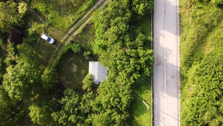 Aerial top view of a road with car passing by forest