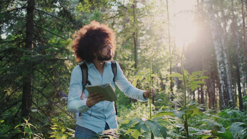 African American Biological Researcher with Tablet PC in Forest. Inspecting and Examine Plants, Herbs, Making Notes in Mobile PC. Volunteer, Scientific co-worker, Eco Friendly, Ecosystem. Royalty-Free Stock Footage #1057616236