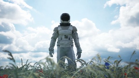 An astronaut-Explorer walks through an endless field of flowers. An astronaut has arrived on a flower beautiful planet. The animation is fantastic, the futuristic or space travel backgrounds.