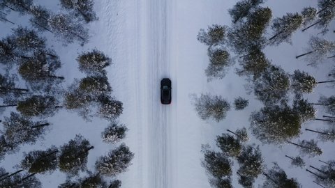 Aerial top view from drone of suv vehicle driving on snowy ice road exploring local landscapes in winter, bird’s eye view of automobile car moving on area surrounded by beautiful coniferous forest
