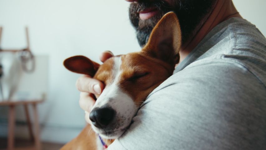 Closeup shot of young bearded man hugging his cute friend brown basenji pure breed dog. Puppy and human friendship Royalty-Free Stock Footage #1057628596