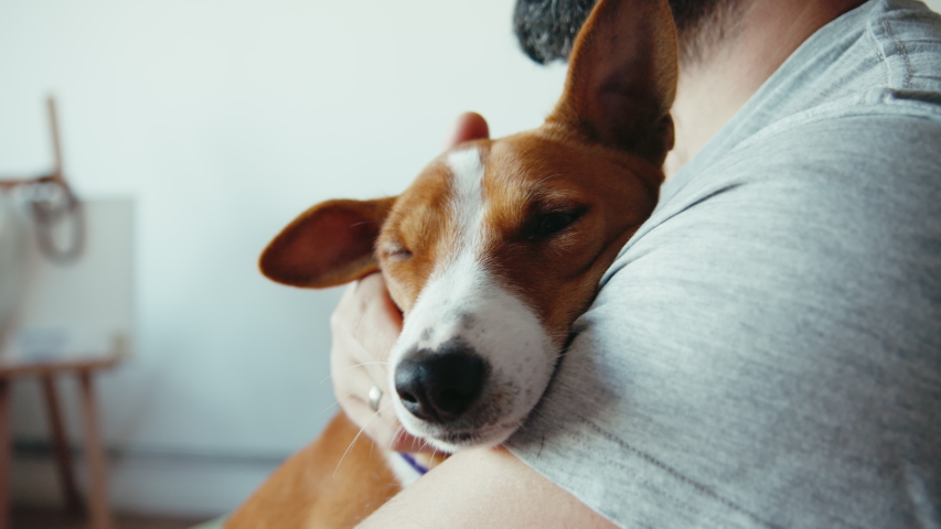 Closeup shot of young bearded man hugging his cute friend brown basenji pure breed dog. Puppy and human friendship | Shutterstock HD Video #1057628596