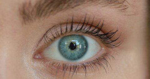 Close Up Beautiful Blue Eye の動画素材 ロイヤリティフリー Shutterstock