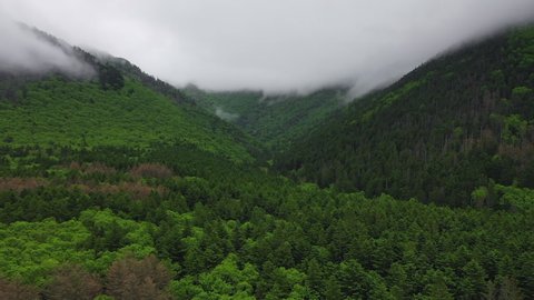 Green mountain forest under heavy clouds, drone flight, Russian far east, Sakhalin 