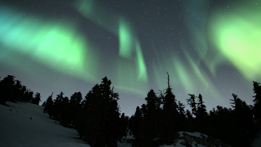 Aurora Green Above Snow Covered Alpine Forest Loop