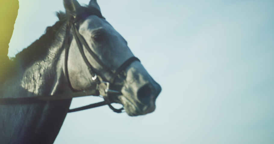 Jockey on a horse running around a dirt track at sunset. White horse running around arena. Equestrian sport, competition outdoors. Sprinting horse. Royalty-Free Stock Footage #1057645441