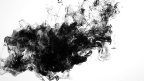 Single ink drop effect flowing in from above over a white background from the Sumi Collection - Ink VFX Video Element