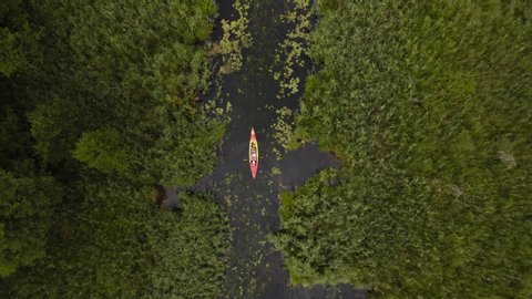 Red kayak paddling down narrow overgrown river with lots of water plants, overhead aerial birds eye view drone shot