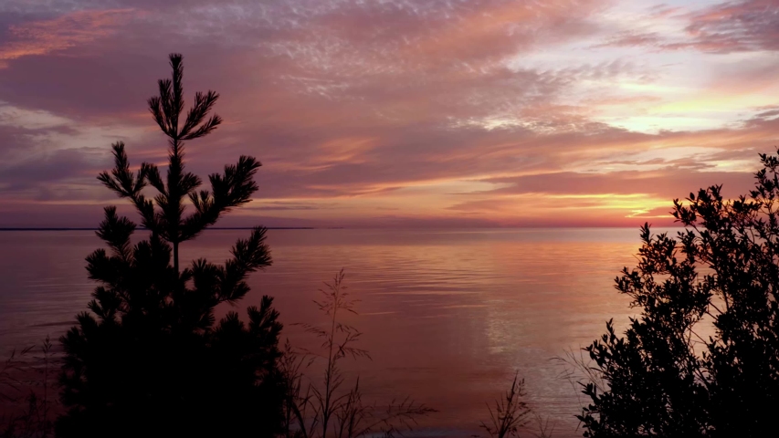 Flying Towards Sunset over Lake through Two Trees on Colorful Great Lakes