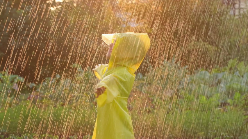 Little happy cute smiling boy child children raised hands in yellow raincoat  enjoying having fun rainfall. Kid playing with drops rain sunlight. Happy family summer autumn childhood dream concept 4 K Royalty-Free Stock Footage #1057701271