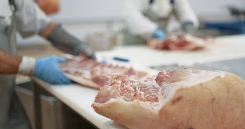 Meat processing plant, butcher cuts pork carcasses, meat production and food industry, the process of harvesting meat.