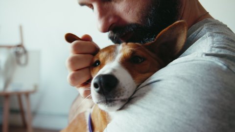 Close up shot of young bearded man hugging and kissing his cute friend brown basenji pure breed dog. Animals and human friendship