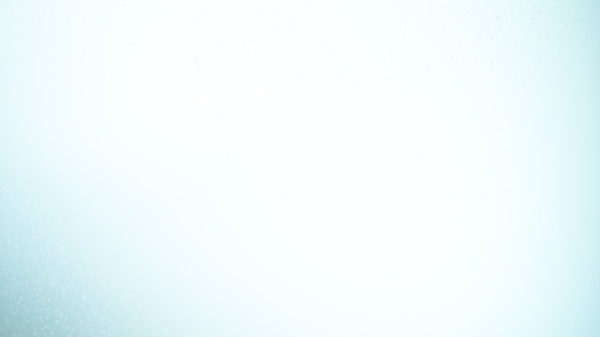 Super Slow Motion Shot of Aloe Vera Cuts Falling into Water on White Background at 1000fps. Royalty-Free Stock Footage #1057746658